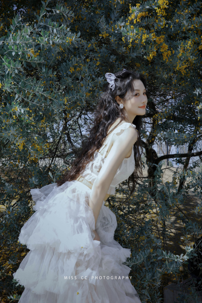 蜘蛛池在小程序内容优化中的使用方式