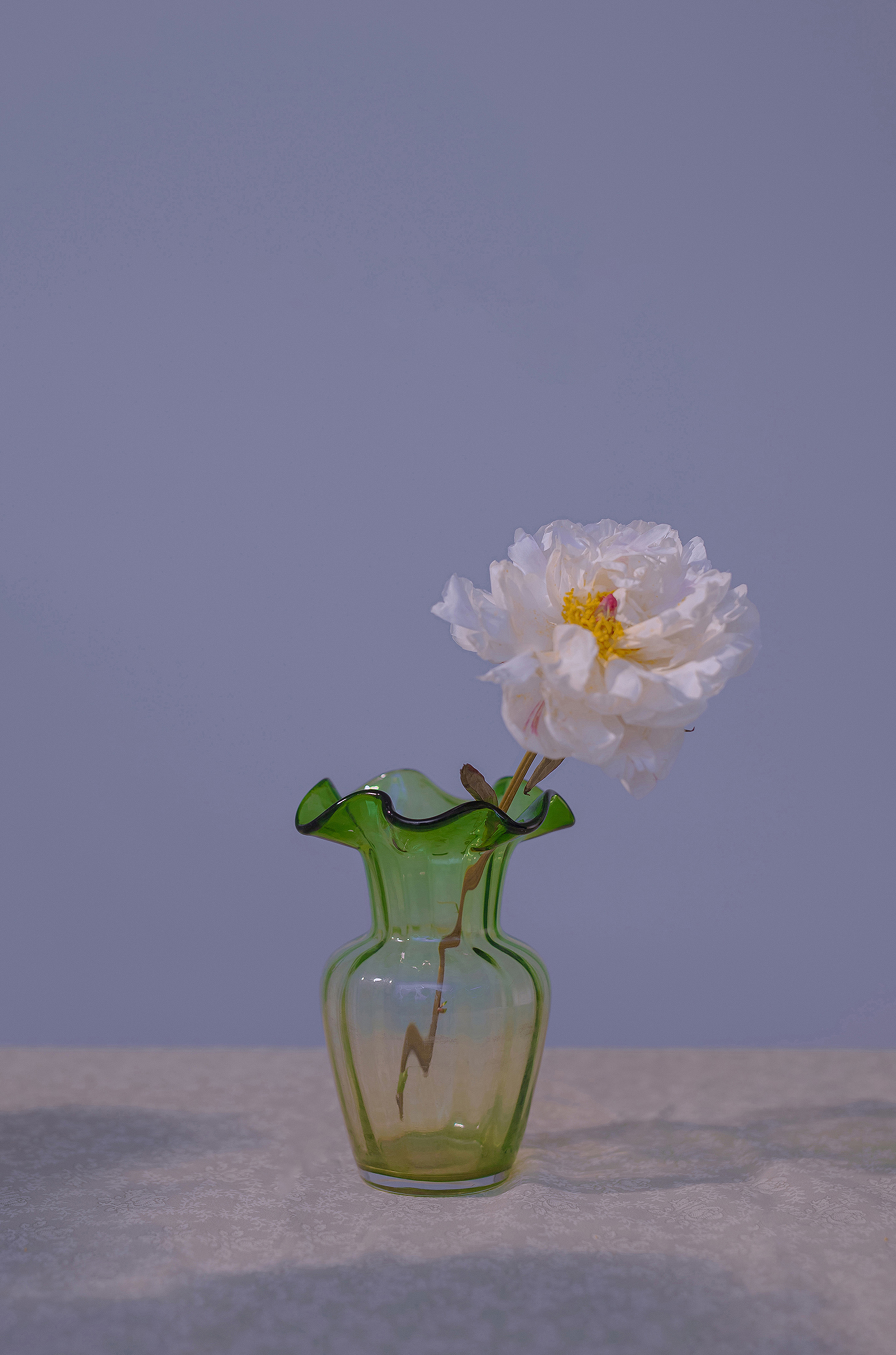 蜘蛛池能否提升长尾词页面的抓取频率