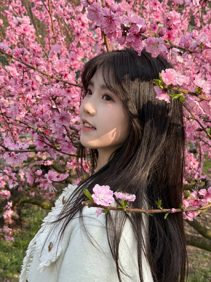 蜘蛛池在小程序内容优化中的使用方式