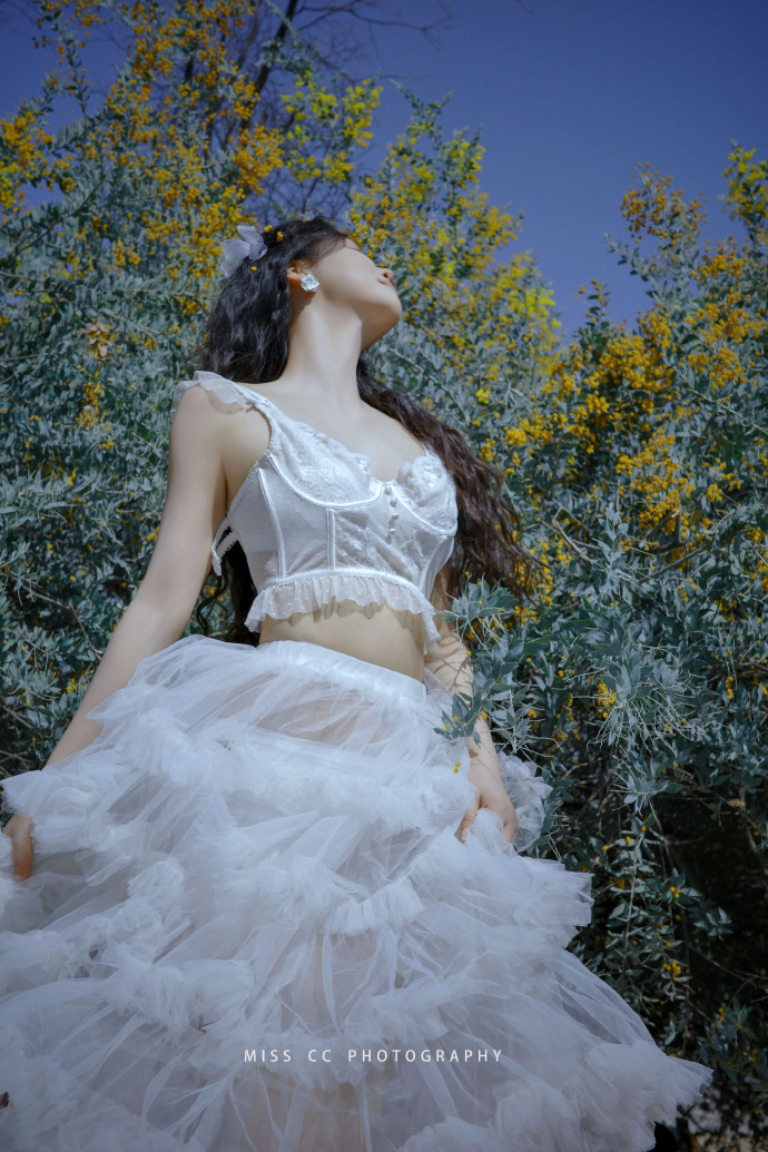 蜘蛛池对SEO黑帽技术的风险分析