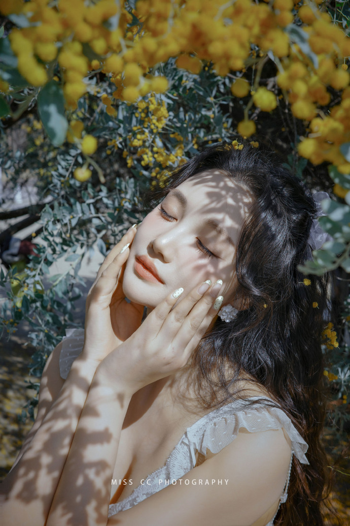 蜘蛛池在小程序内容优化中的使用方式