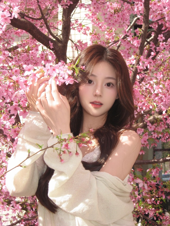 蜘蛛池中的IP地址轮换策略