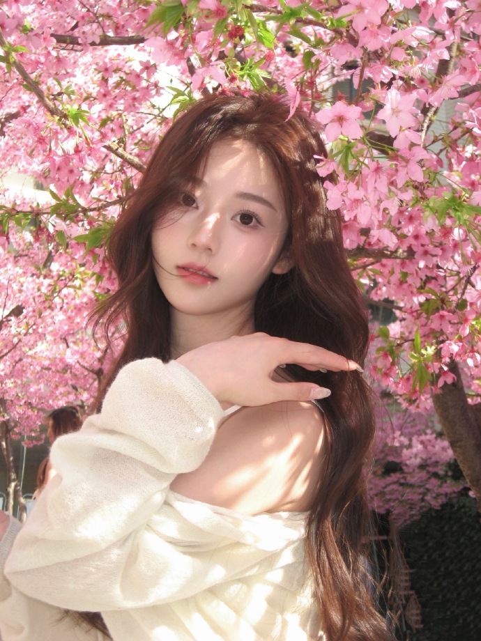 蜘蛛池是否能配合低频爬虫同步策略