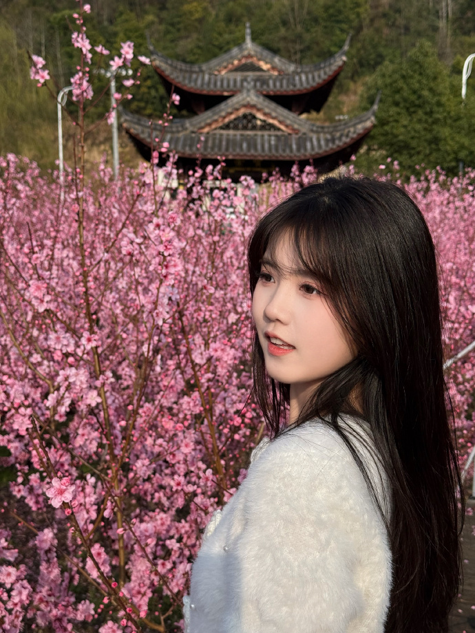 蜘蛛池是否适合用于低频词库类页面