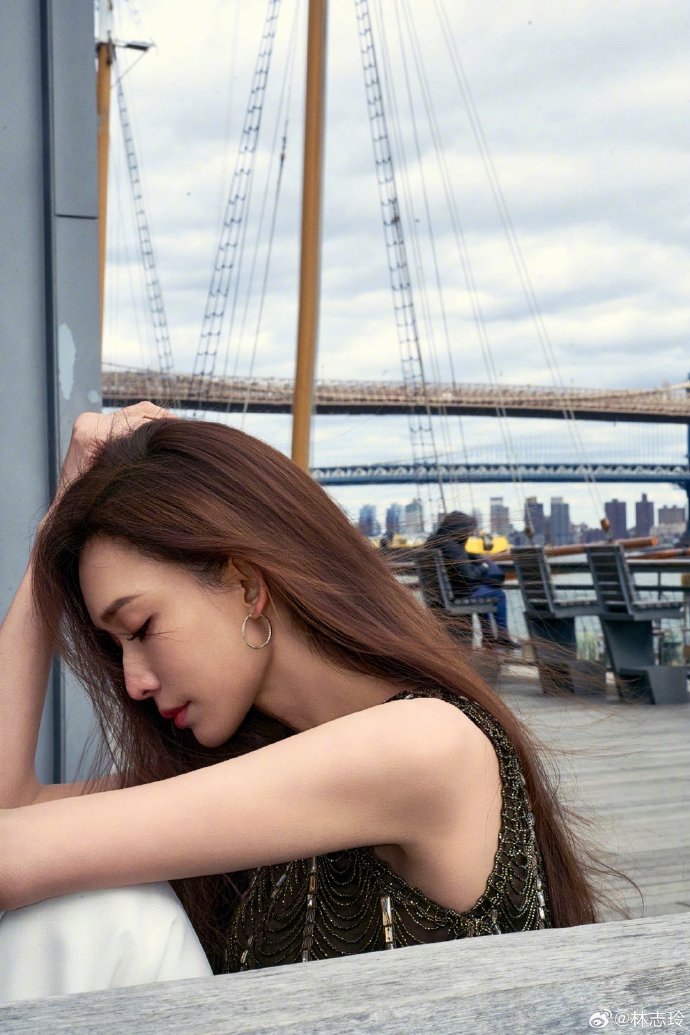 快速构建蜘蛛池的五个步骤