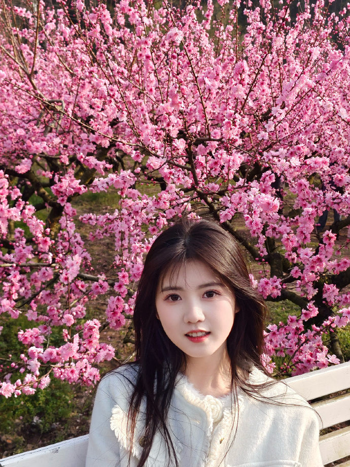 蜘蛛池是否能配合低频爬虫同步策略