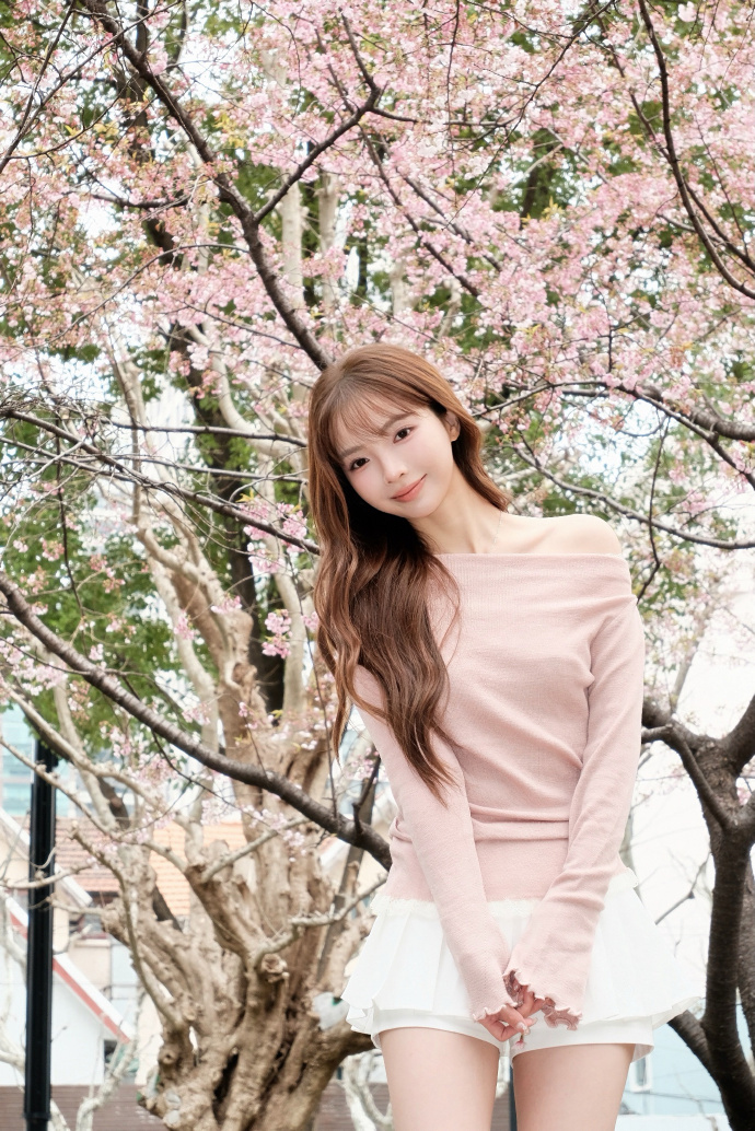 快速构建蜘蛛池的五个步骤