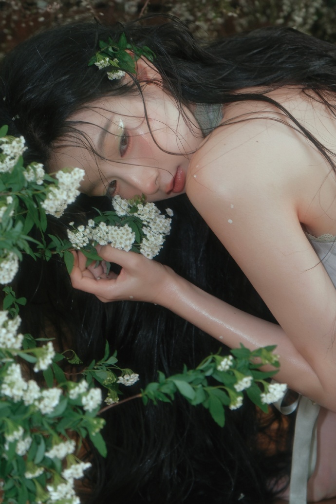 蜘蛛池在泛解析中的实战价值