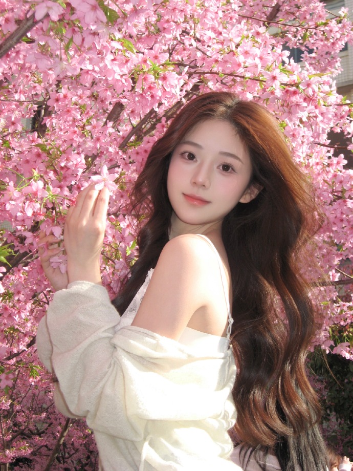 蜘蛛池访问日志的深度分析