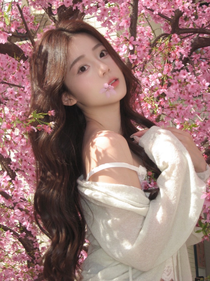 蜘蛛池与网站架构优化的配合