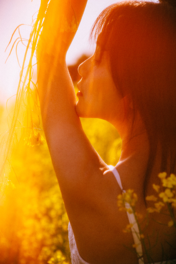 蜘蛛池在泛解析中的实战价值